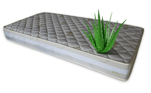 ležišče 120 x 200 aloe vera